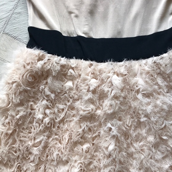 Zara basics ballerina dress - Picture 2 of 5